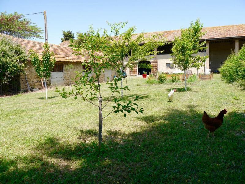 Ferme St Pierre Gite Autonome 2-4 Personnes Chabeuil Buitenkant foto